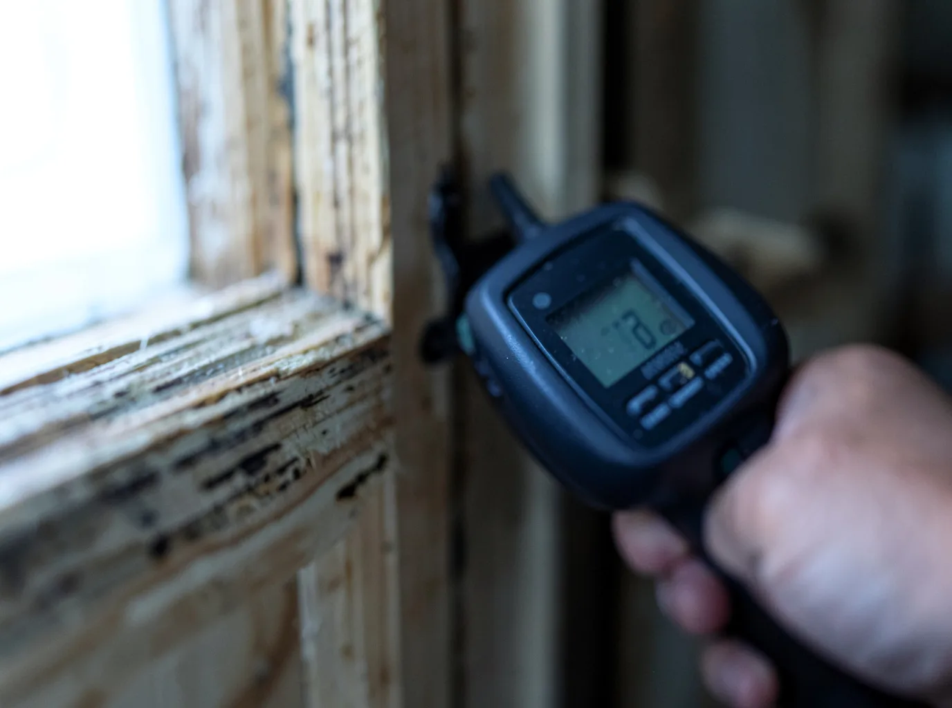 Ceiling Water Damage Repair in Eleva, WI